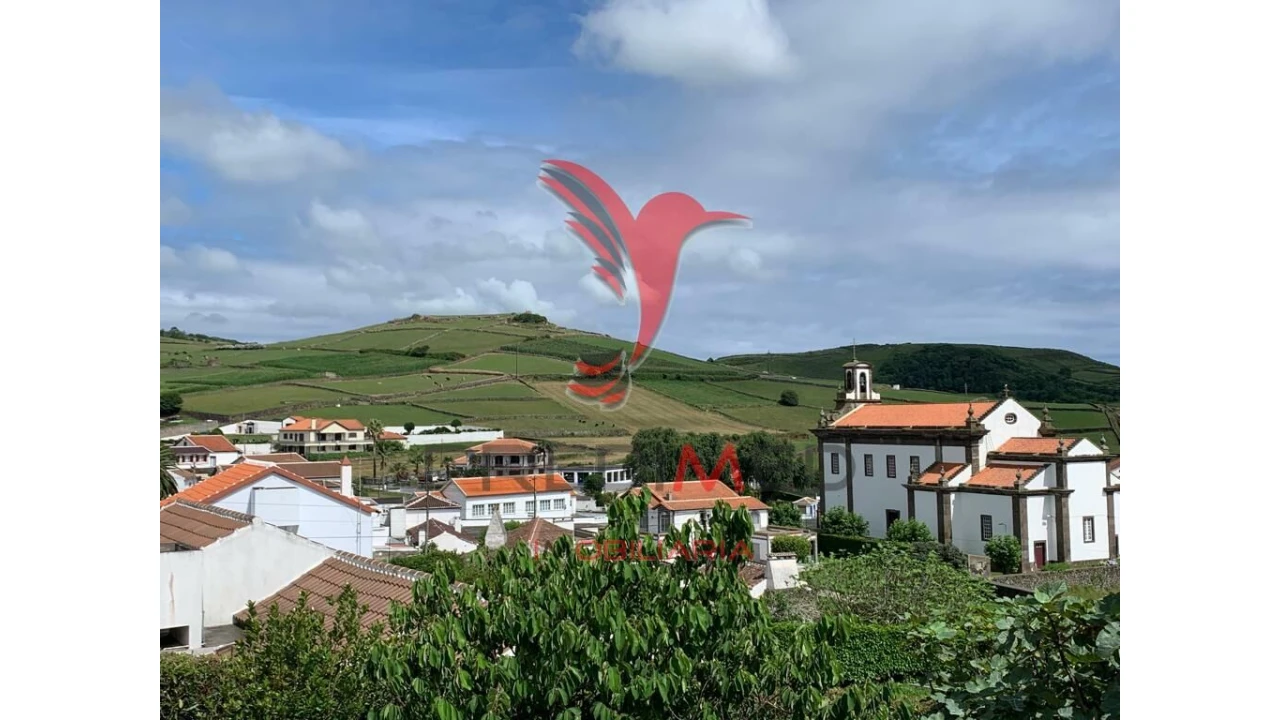 Terreno para Venda em Fonte do Bastardo Foto 10