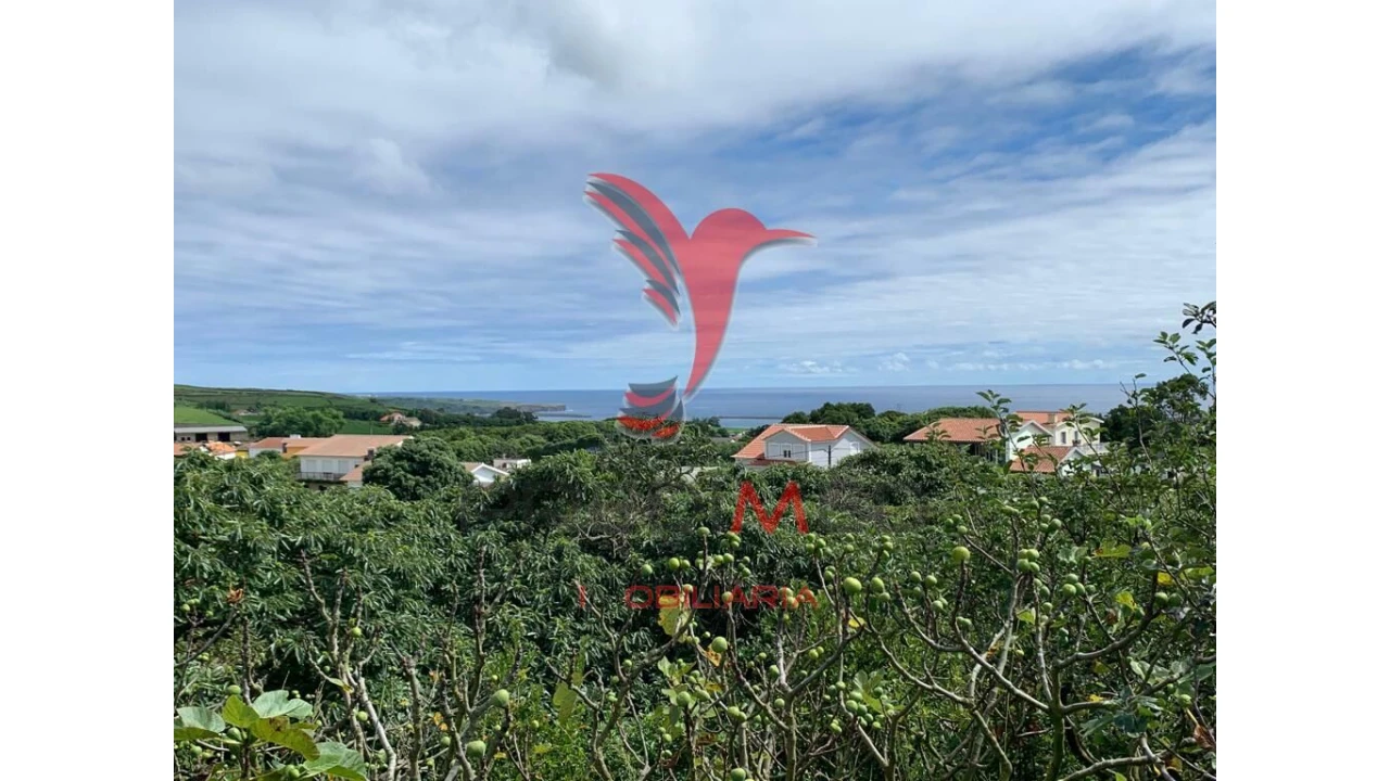 Terreno para Venda em Fonte do Bastardo Foto 3
