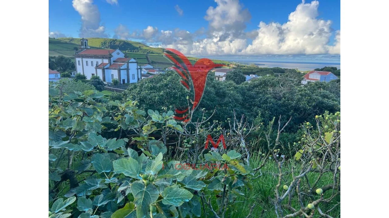 Terreno para Venda em Fonte do Bastardo Foto 4