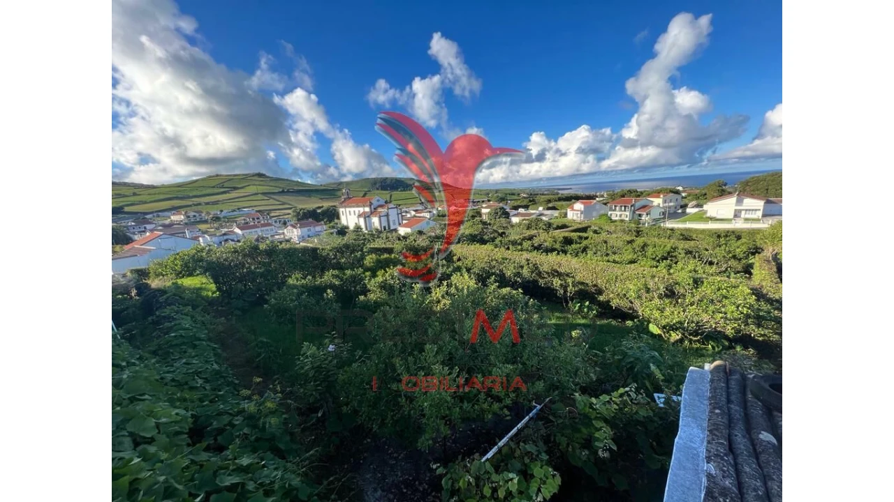 Terreno para Venda em Fonte do Bastardo Foto 16