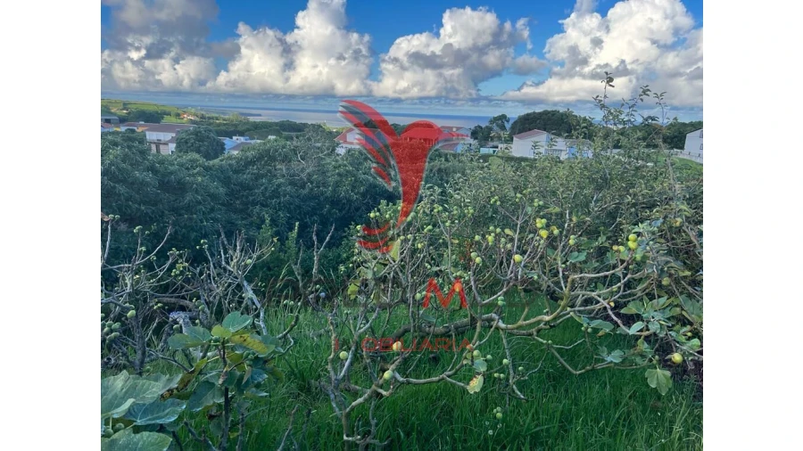 Terreno para Venda em Fonte do Bastardo Foto 5