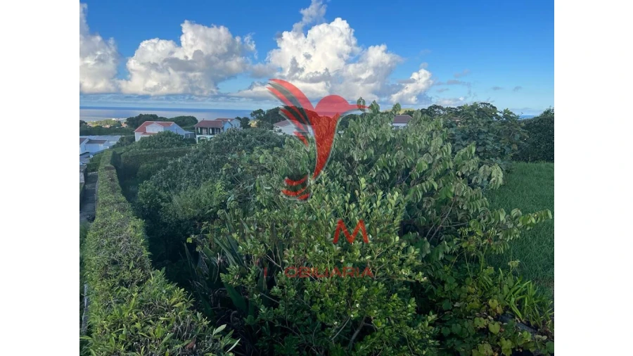 Terreno para Venda em Fonte do Bastardo Foto 11