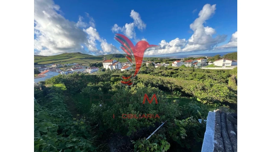 Terreno para Venda em Fonte do Bastardo Foto 16