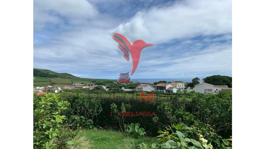 Terreno para Venda em Fonte do Bastardo Foto 19