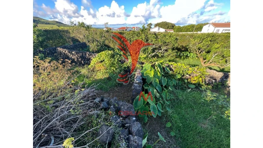 Terreno para Venda em Fonte do Bastardo Foto 12