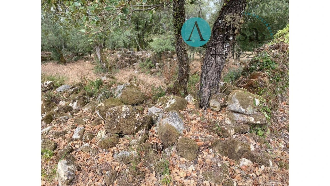Terreno para Venda em Nossa Senhora do Pranto Foto 13