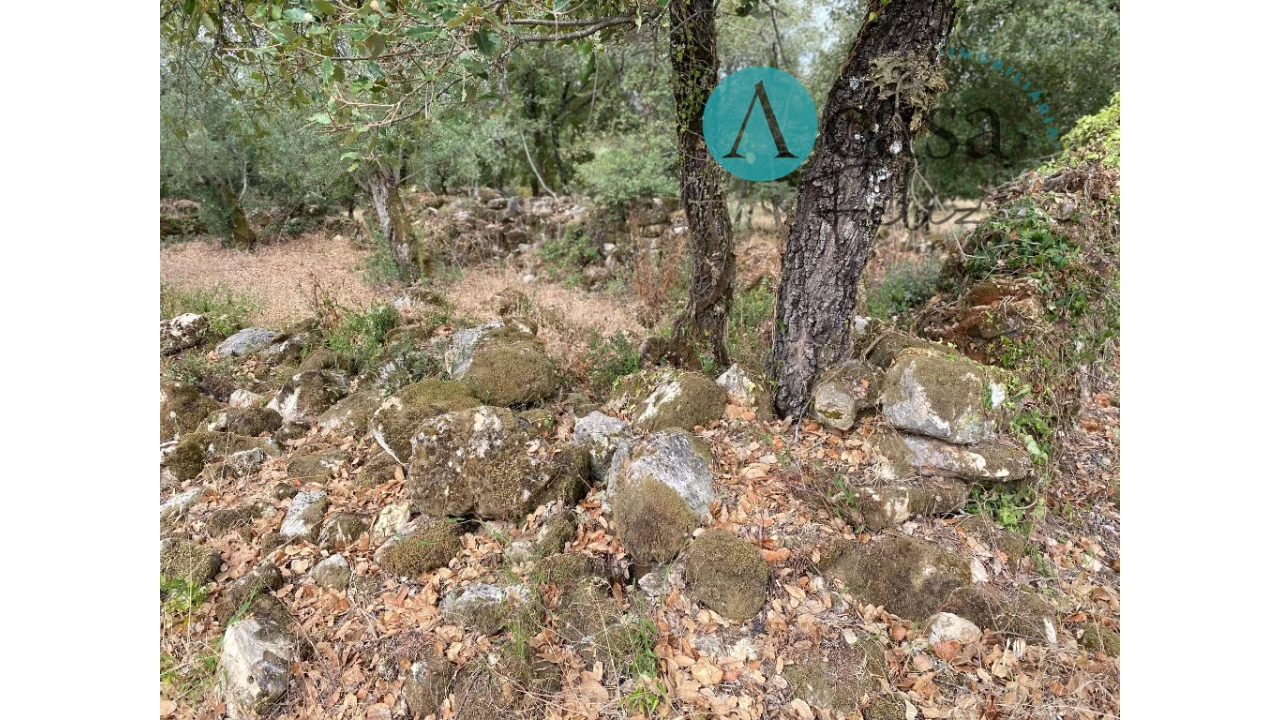 Terreno para Venda em Nossa Senhora do Pranto Foto 11