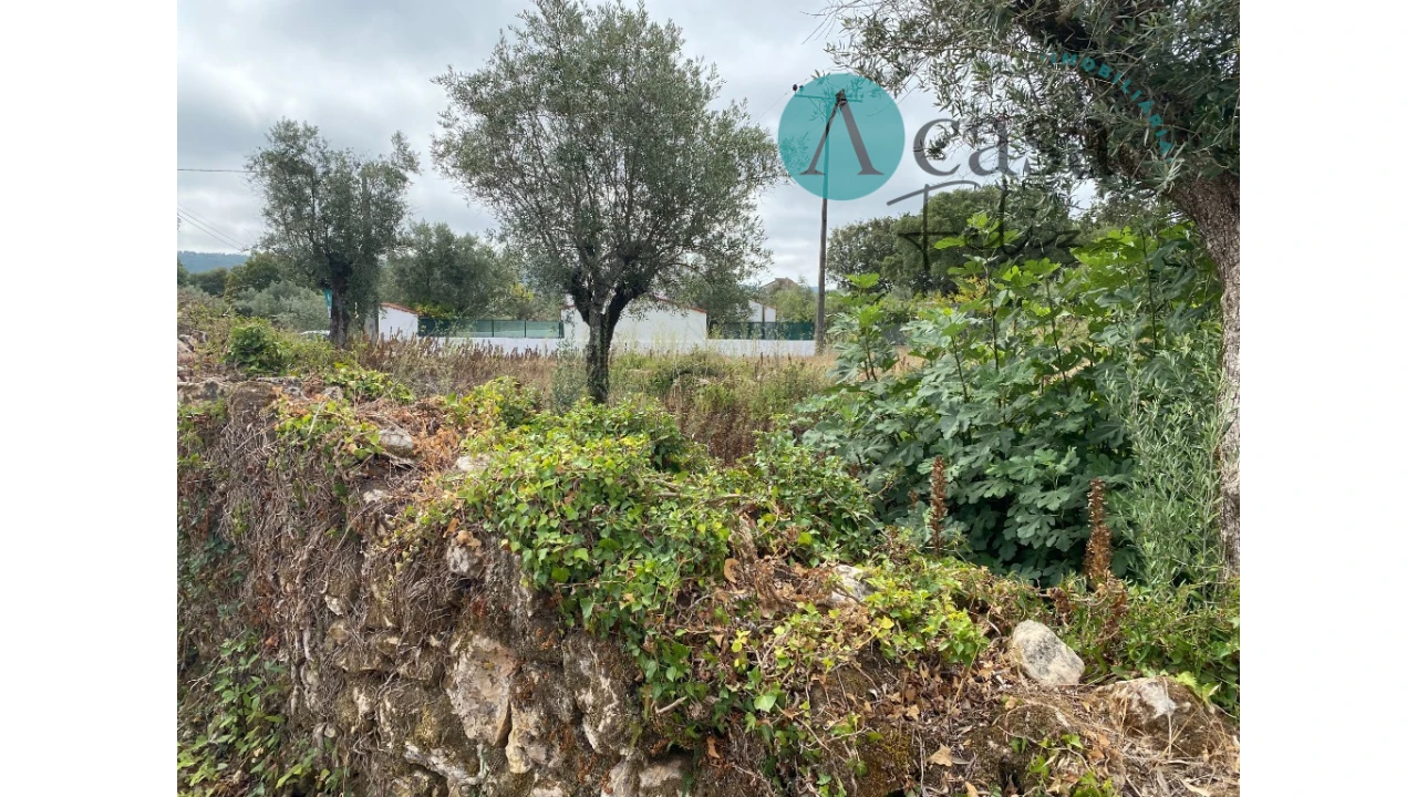 Terreno para Venda em Nossa Senhora do Pranto Foto 4