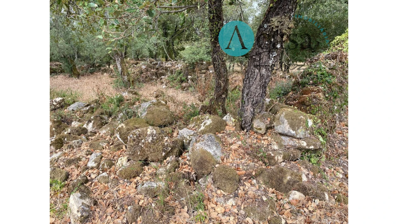 Terreno para Venda em Nossa Senhora do Pranto Foto 7