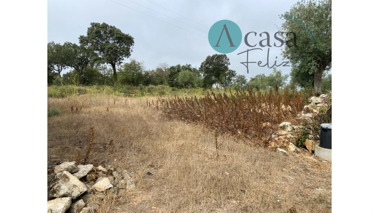 Terreno para Venda em Nossa Senhora do Pranto Foto 2