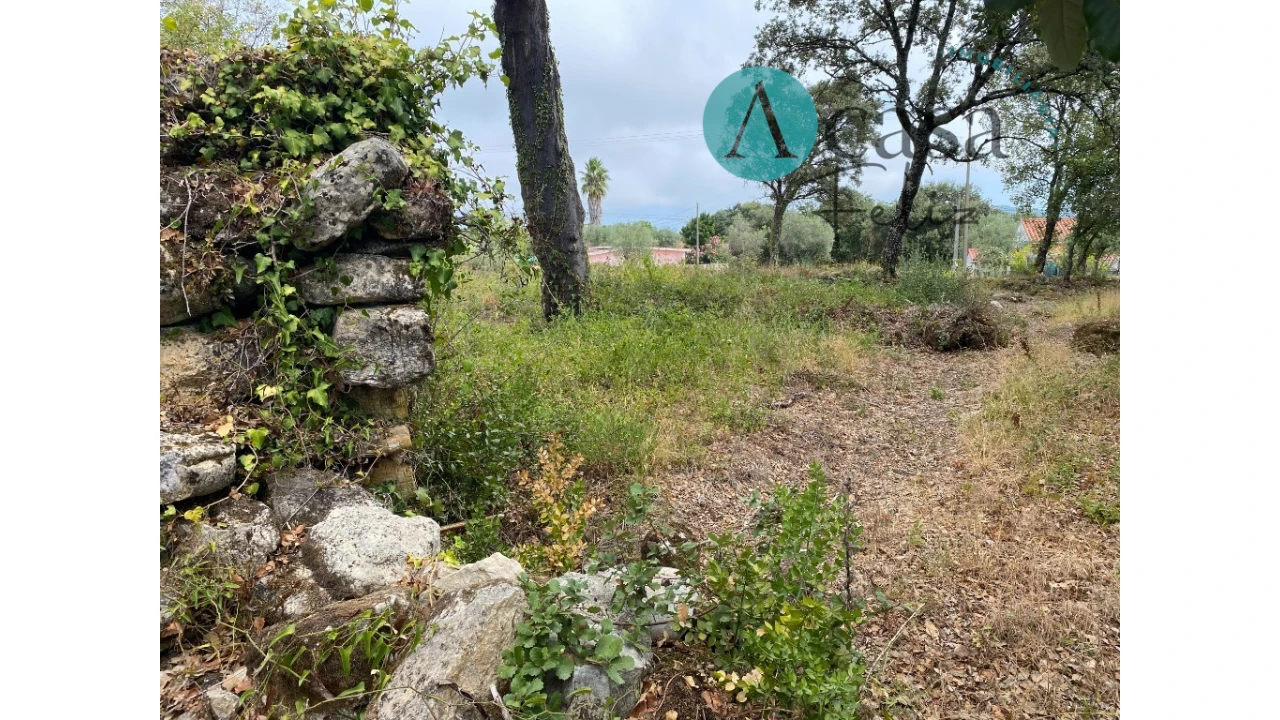 Terreno para Venda em Nossa Senhora do Pranto Foto 6