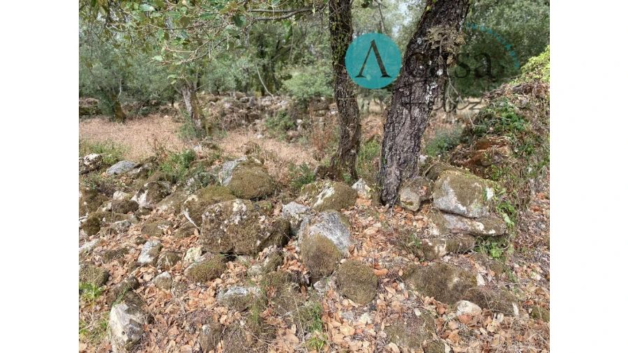 Terreno para Venda em Nossa Senhora do Pranto Foto 13