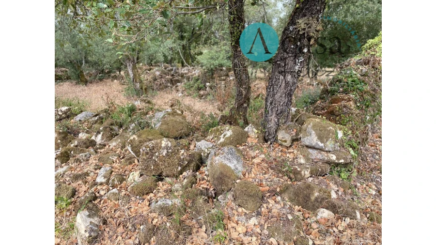 Terreno para Venda em Nossa Senhora do Pranto Foto 11