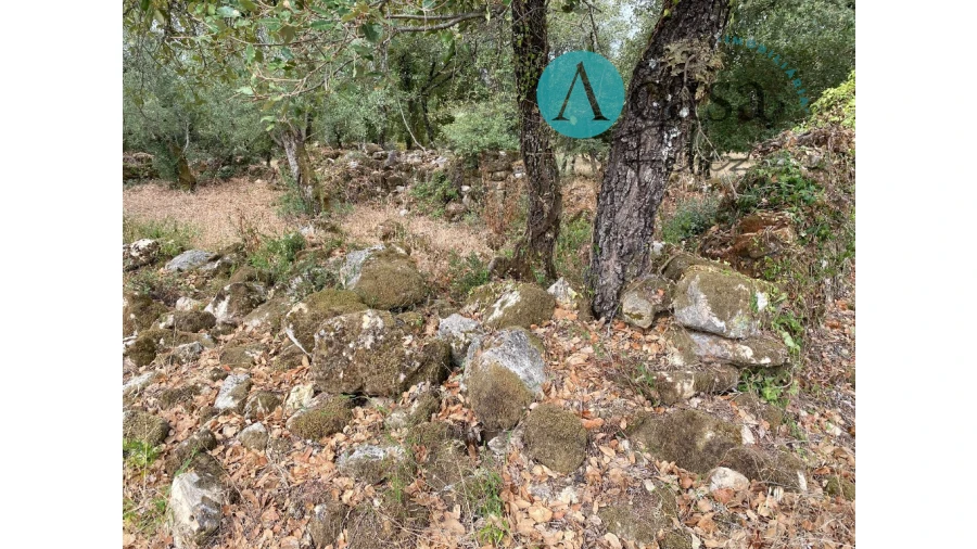 Terreno para Venda em Nossa Senhora do Pranto Foto 7