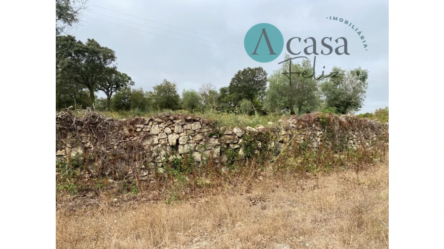 Terreno para Venda em Nossa Senhora do Pranto Foto 10