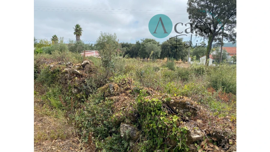 Terreno para Venda em Nossa Senhora do Pranto Foto 9
