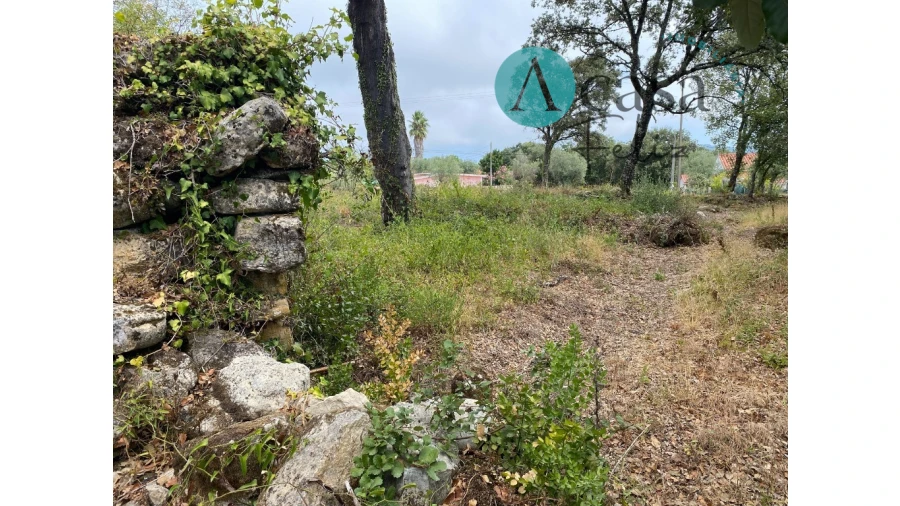 Terreno para Venda em Nossa Senhora do Pranto Foto 8