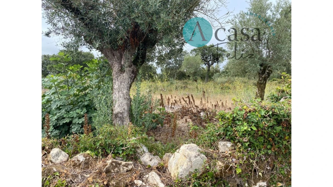 Terreno para Venda em Nossa Senhora do Pranto Foto 3