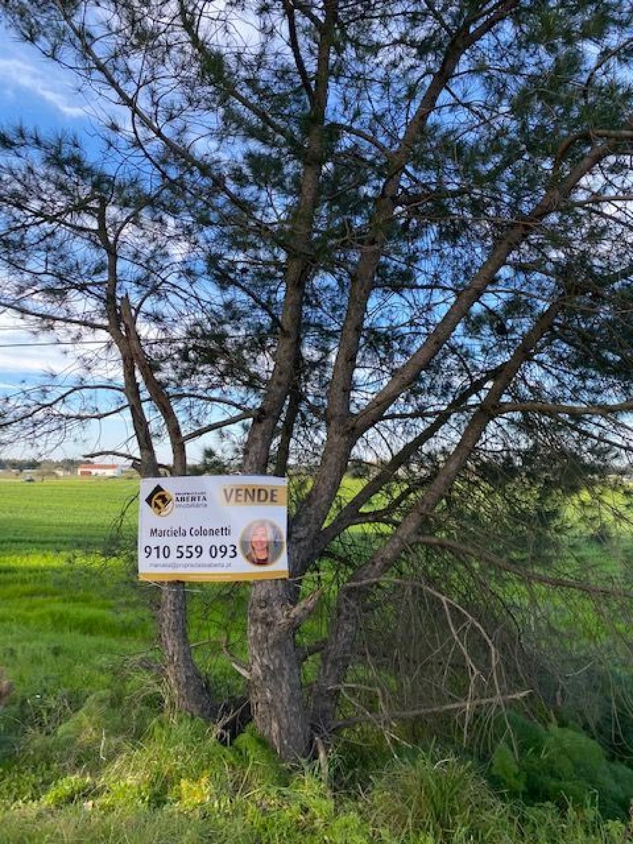 Quinta para Venda em Pegões Foto 5