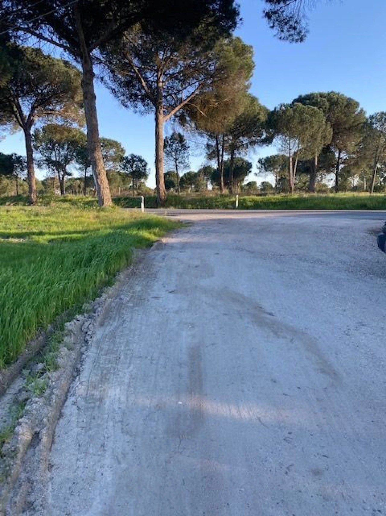 Quinta para Venda em Pegões Foto 13