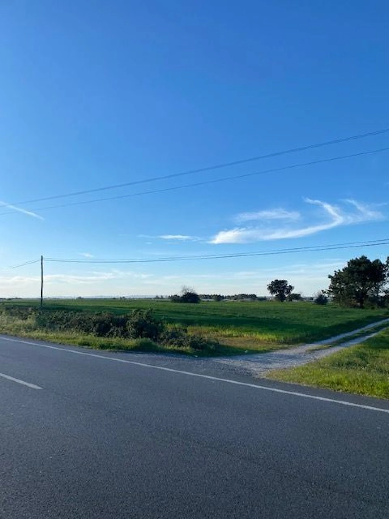 Quinta para Venda em Pegões Foto 15