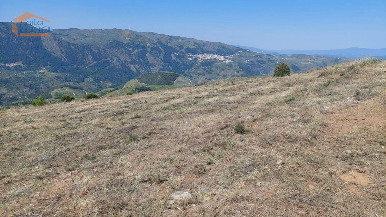 Terreno Agricola ou Rústico para Venda em Castanheiro do Sul Foto 18