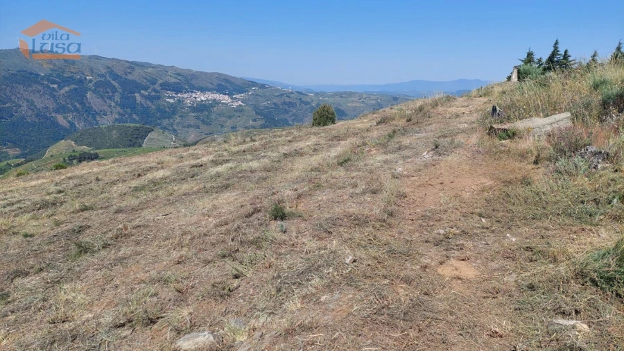 Terreno Agricola ou Rústico para Venda em Castanheiro do Sul Foto 13