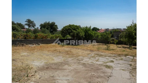 Terreno para Venda em Alcains