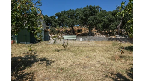 Terreno para Venda em Alcains