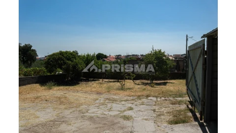 Terreno para Venda em Alcains