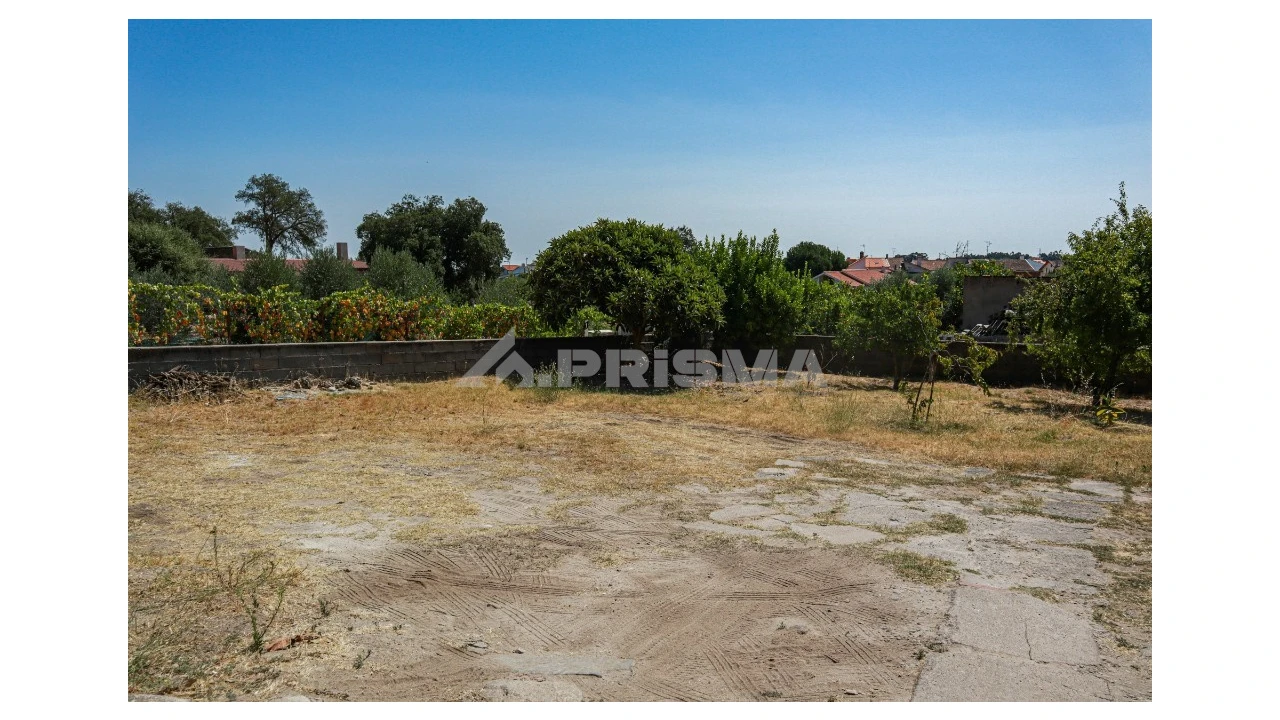 Terreno para Venda em Alcains Foto 8