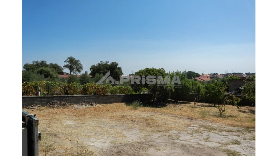 Terreno para Venda em Alcains Foto 5