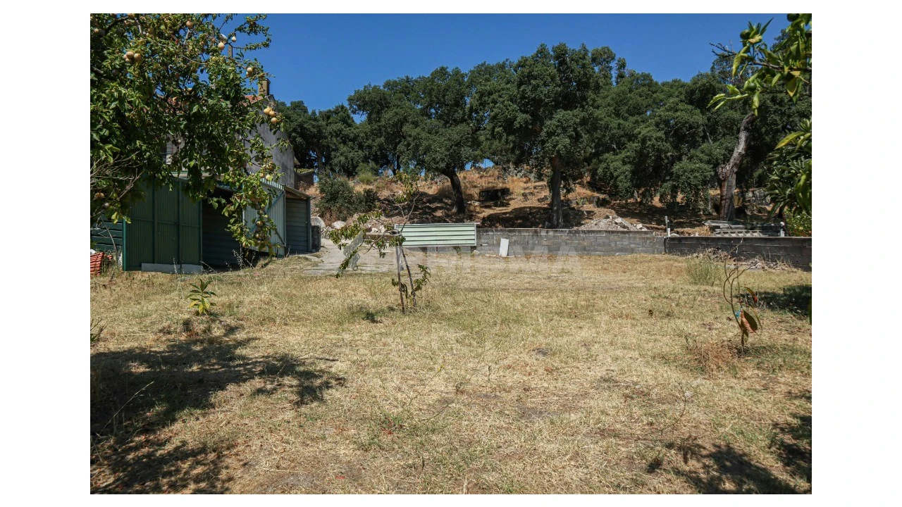 Terreno para Venda em Alcains Foto 2