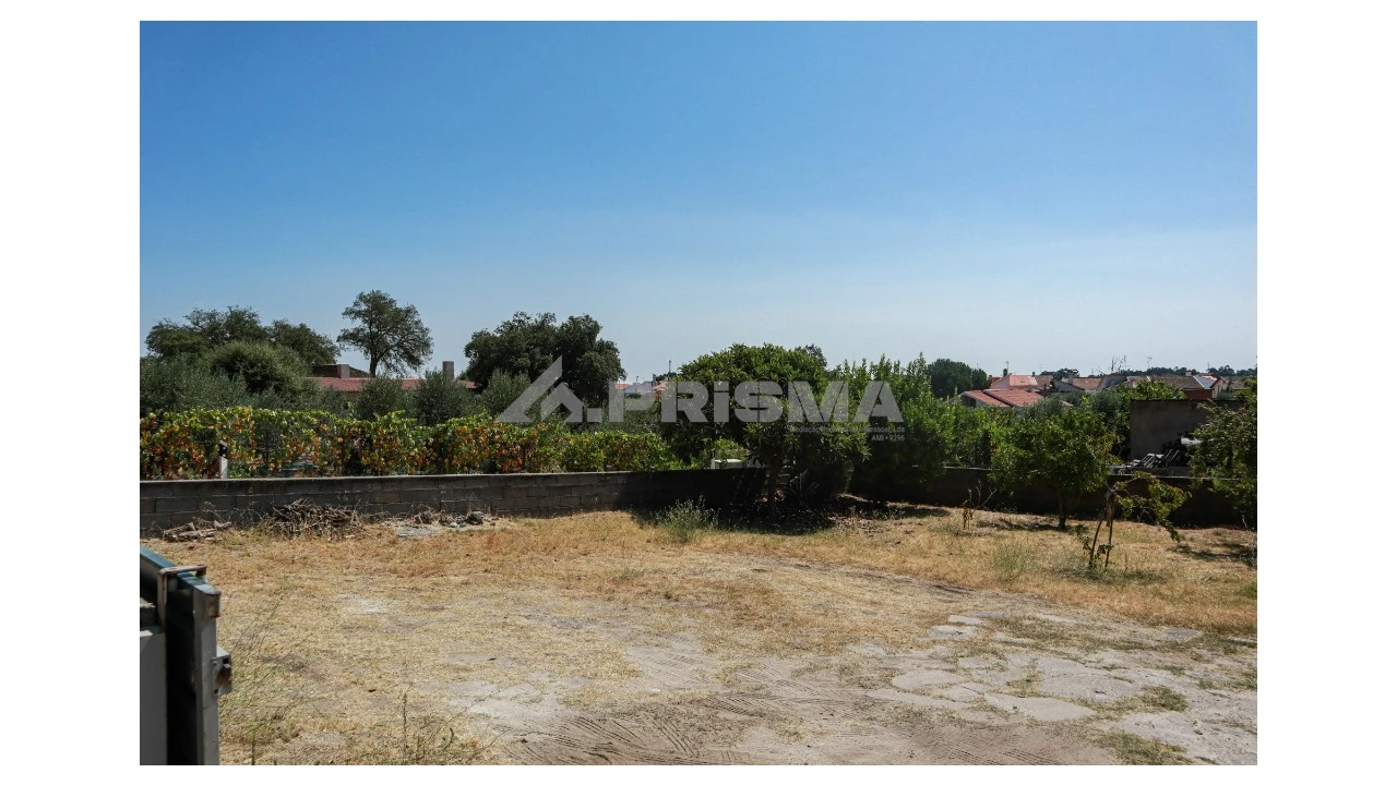 Terreno para Venda em Alcains Foto 5