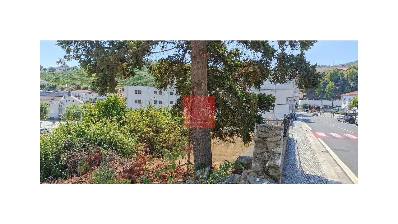 Terreno para Venda em Lobrigos (São Miguel e São João Baptista) e Sanhoane Foto 1