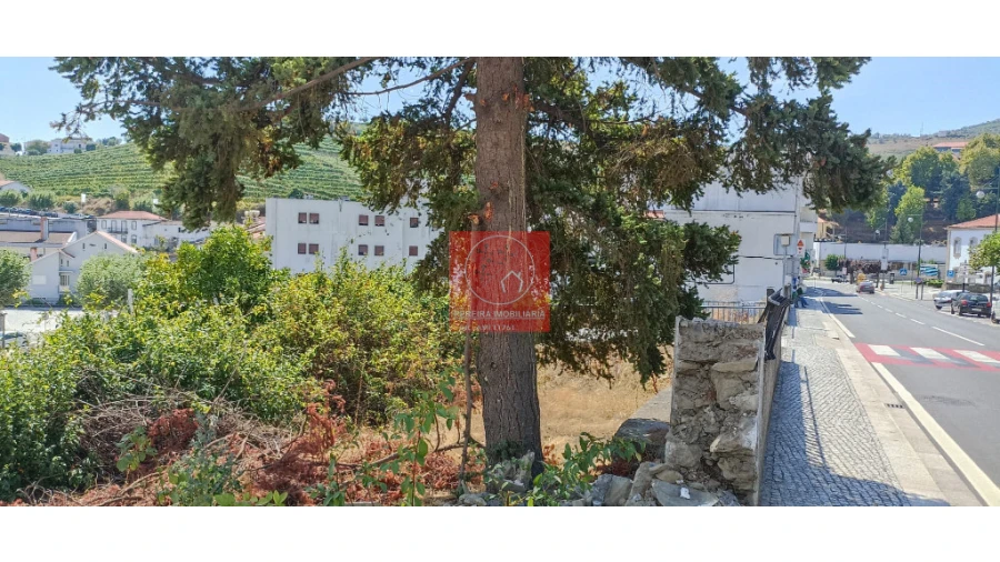 Terreno para Venda em Lobrigos (São Miguel e São João Baptista) e Sanhoane Foto 1