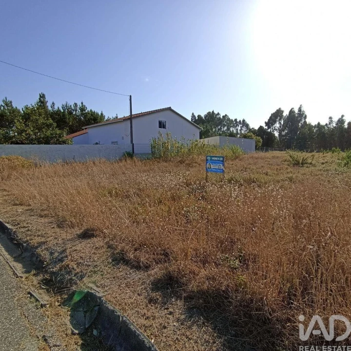 Terreno para Venda em Marinha Grande Foto 14