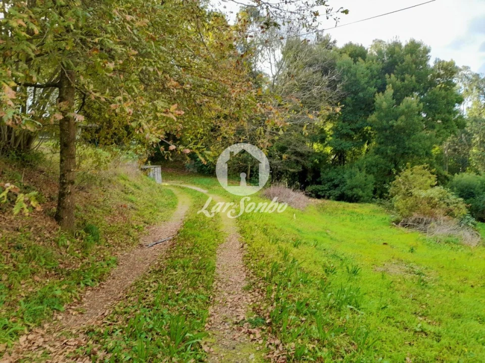 Moradia T5 para Venda em Cruz Foto 2