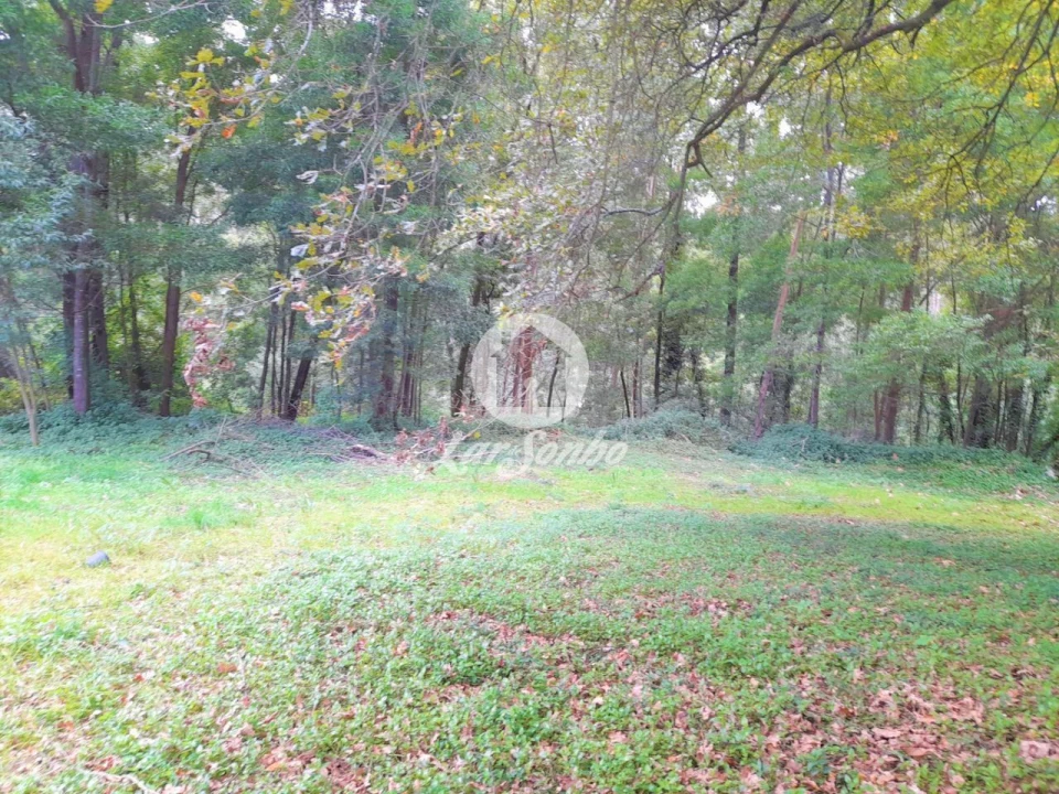 Moradia T5 para Venda em Cruz Foto 3