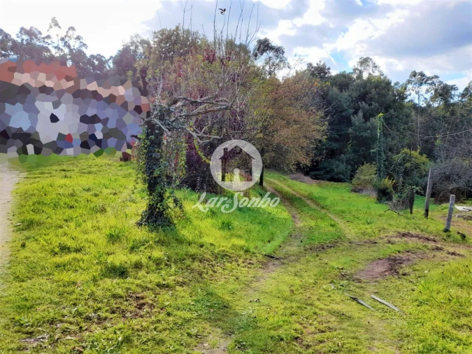 Moradia T5 para Venda em Cruz Foto 1