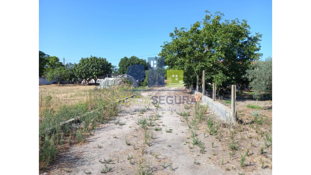 Terreno para Venda em Pias Foto 8