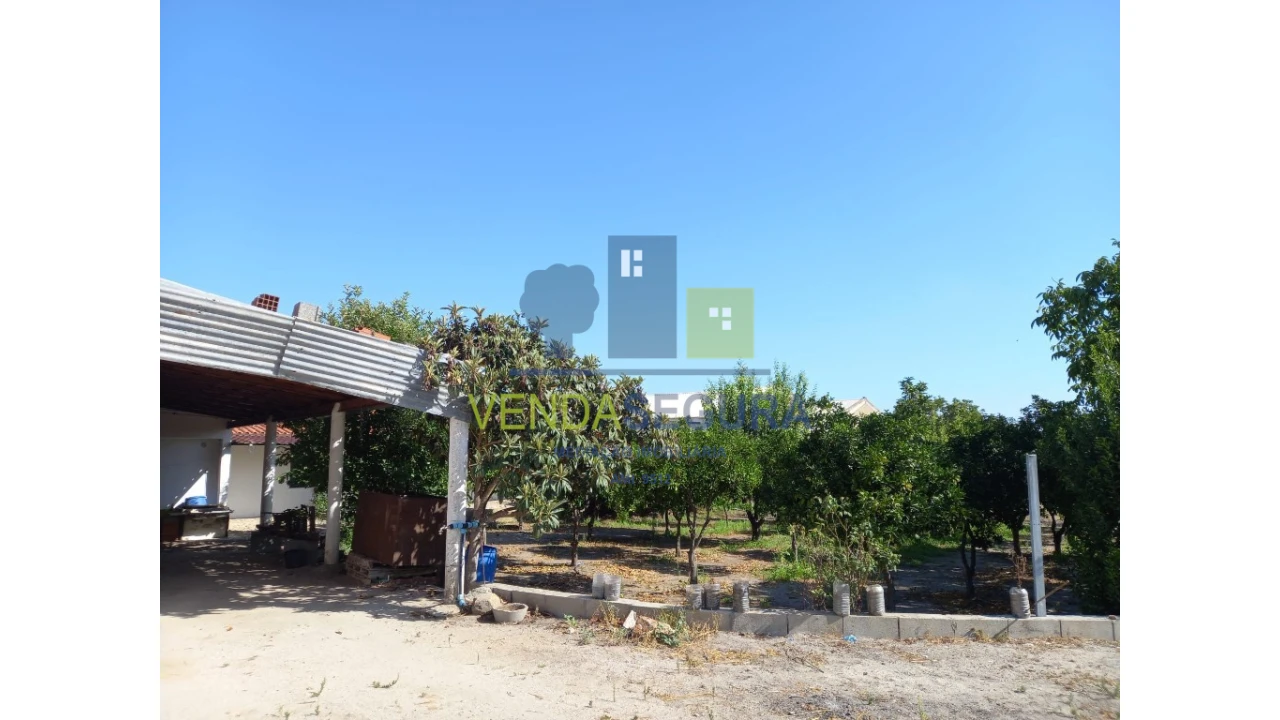 Terreno para Venda em Pias Foto 5