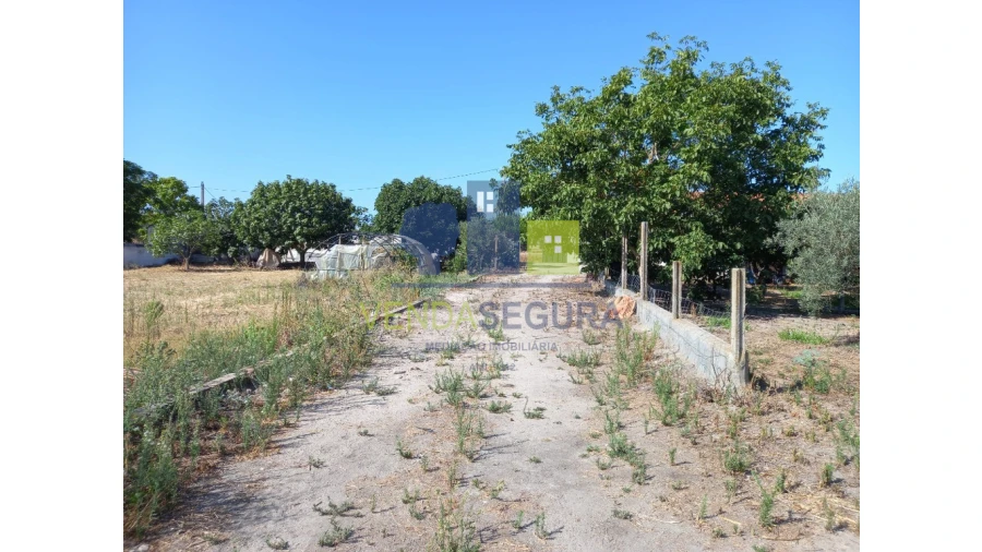 Terreno para Venda em Pias Foto 8