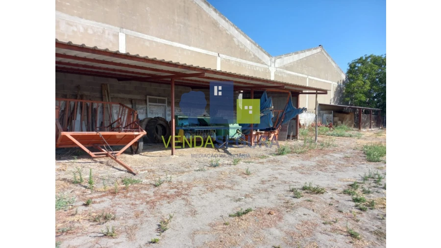 Terreno para Venda em Pias Foto 22