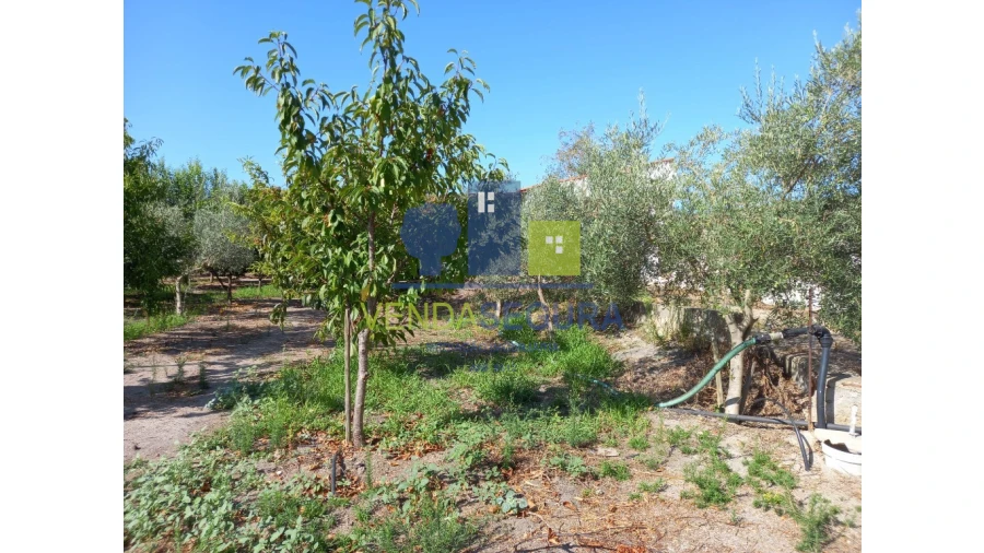 Terreno para Venda em Pias Foto 14