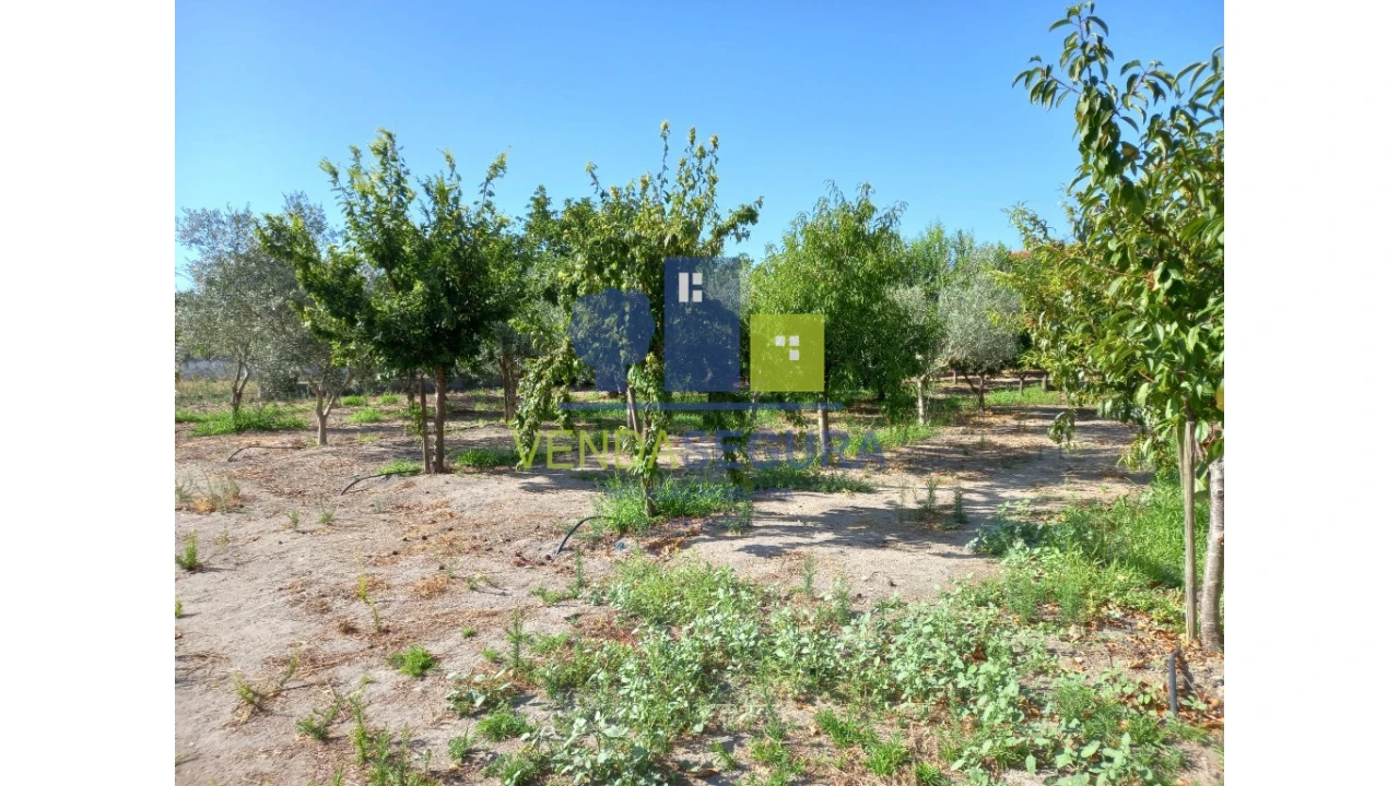 Terreno para Venda em Pias Foto 7