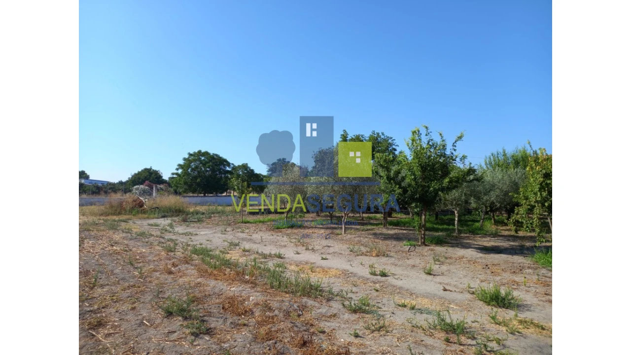 Terreno para Venda em Pias Foto 12