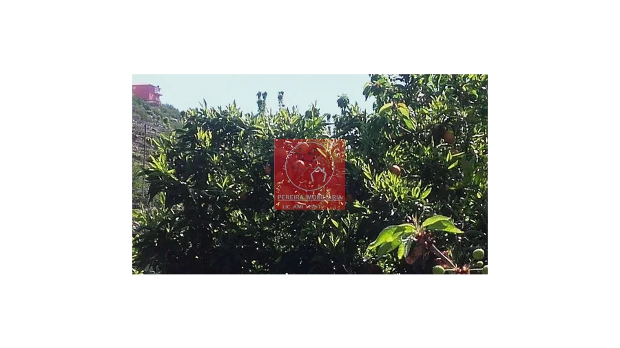 Moradia T4 para Venda em Penajoia Foto 11