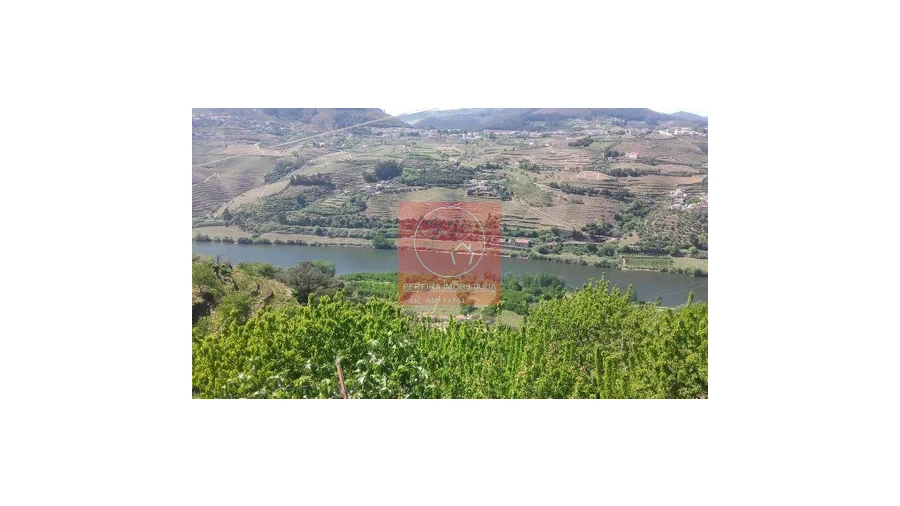 Moradia T4 para Venda em Penajoia Foto 1