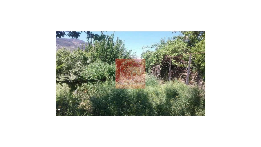 Moradia T4 para Venda em Penajoia Foto 8